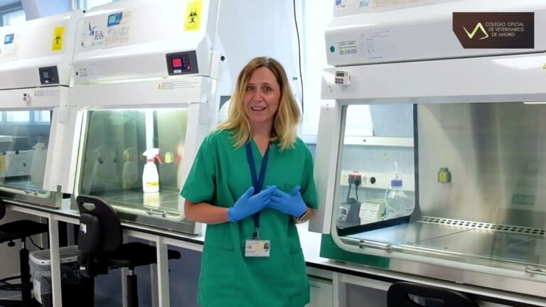 30 de enero y 2 de febrero en Met&aacute;n