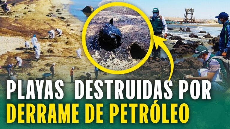 Especies y Comunidades en Peligro