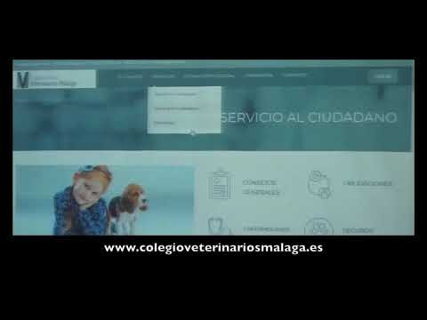 Un Legado de Excelencia