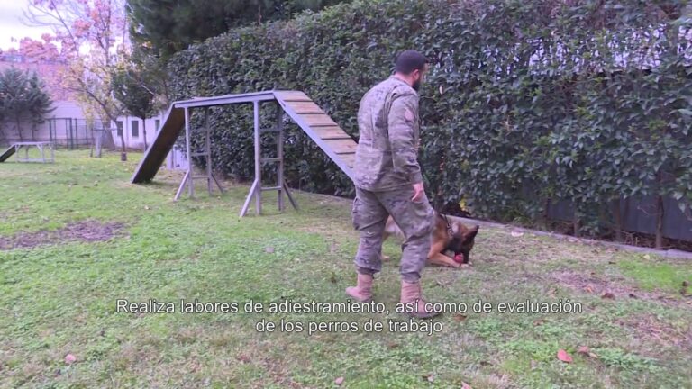 Conferencia sobre el Programa Rocinante y la Veterinaria en L&iacute;bano