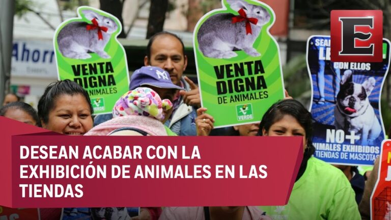 un gesto que promueve el respeto y la responsabilidad