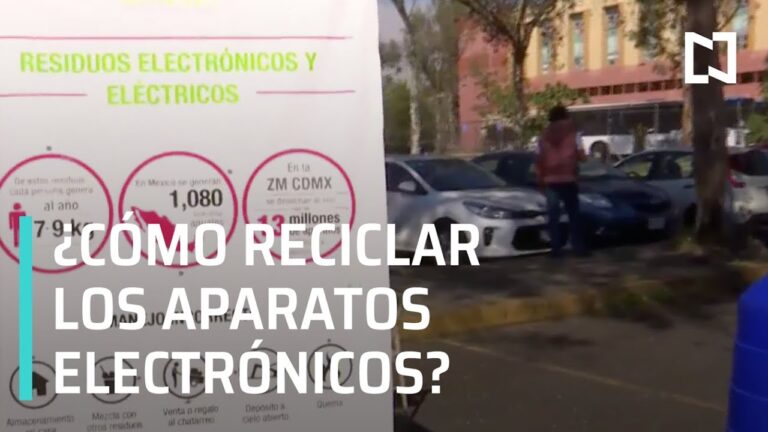 Aumentando el Bienestar Animal con Servicios Veterinarios en CDMX