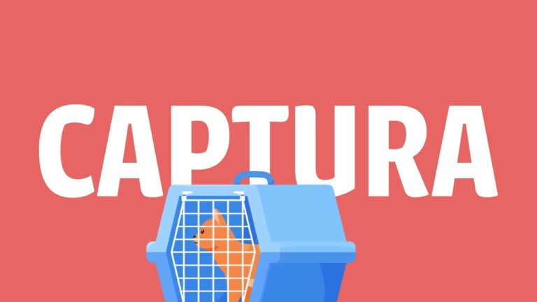 Almer&iacute;a lanza un innovador plan para gestionar colonias felinas