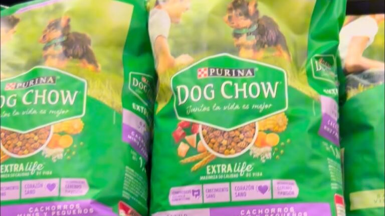 10 Alimentos de Supermercado Seguros para Tu Perro, Según un Veterinario