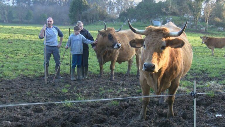 Cumpliendo con los altos est&aacute;ndares de salud de la UE