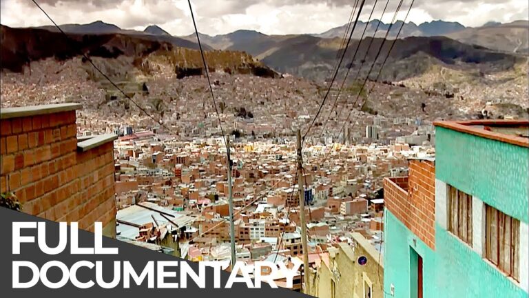 La Paz impulsa la productividad ganadera con veterinaria gratuita y capacitaci&oacute;n