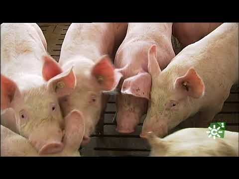 Nuevos Plazos y Flexibilidad para Agricultores