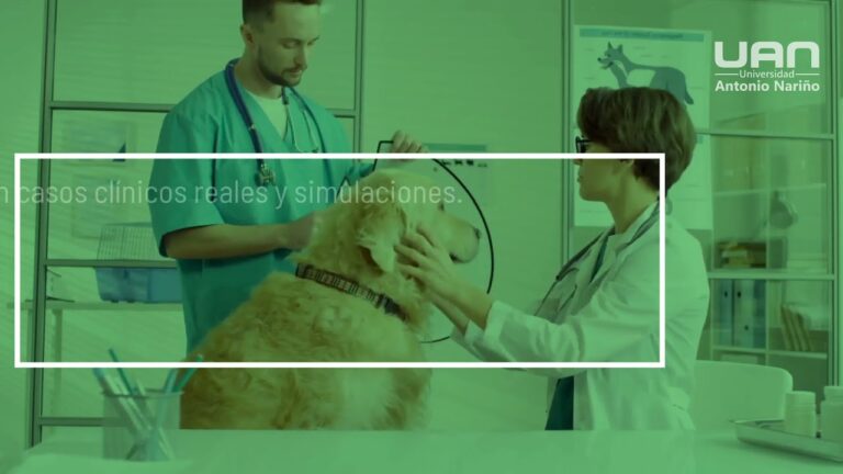 Fomentando la Adopci&oacute;n de Mascotas entre Mayores en M&aacute;laga