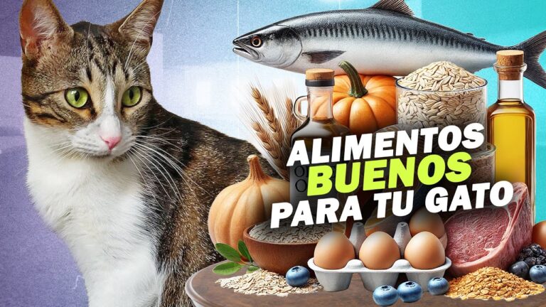 &iexcl;Celebra la Navidad con tu gato! Alimentos seguros y deliciosos para compartir