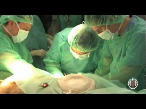 Compromiso con la Salud y Bienestar Equino