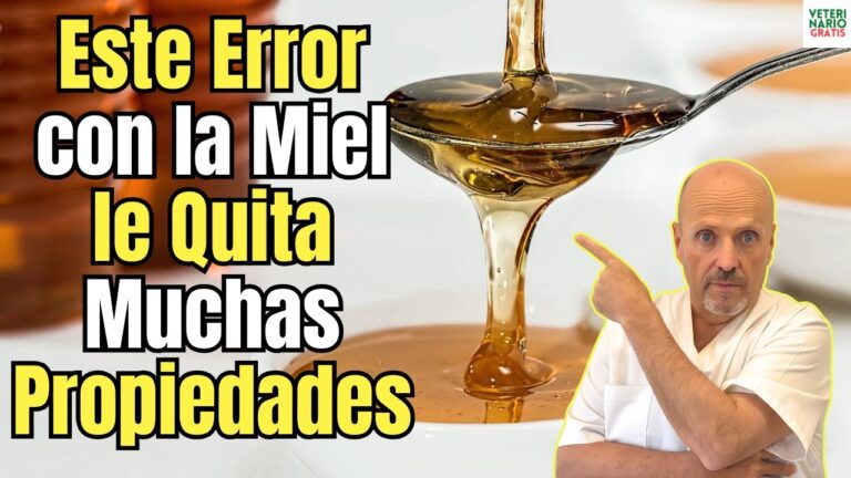 Inclusi&oacute;n y Oportunidades