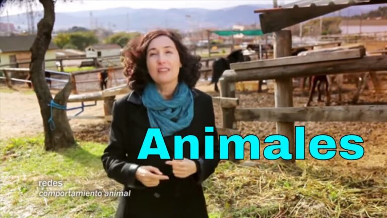 consejos para evitar el miedo a la pirotecnia