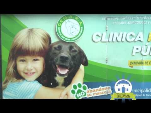 Lunes 30 y Jueves 2 en Salte&ntilde;o