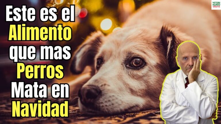 &iexcl;Cuidado!