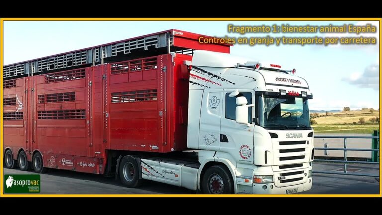 Animales en Zool&oacute;gico de Luj&aacute;n Necesitan Traslado, Pero Veterinarios No Pueden Entrar