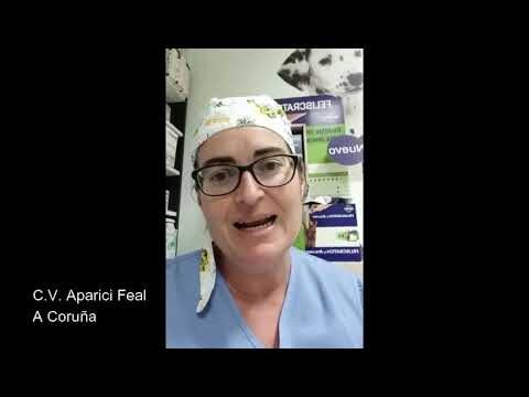 Ceva Salud Animal impulsa la cardiolog&iacute;a veterinaria con expertos en formaci&oacute;n continua