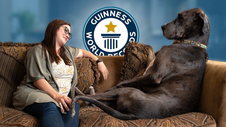 &iexcl;Comparte las travesuras de tu mascota!
