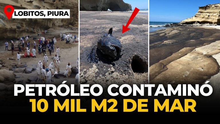 Especies y H&aacute;bitats en Peligro