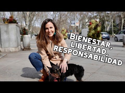 La nueva Ley de Bienestar Animal facilita el cuidado de tus mascotas