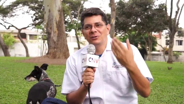 &iquest;D&oacute;nde Debe Dormir Tu Perro? Consejos de Veterinarios para un Sue&ntilde;o Tranquilo