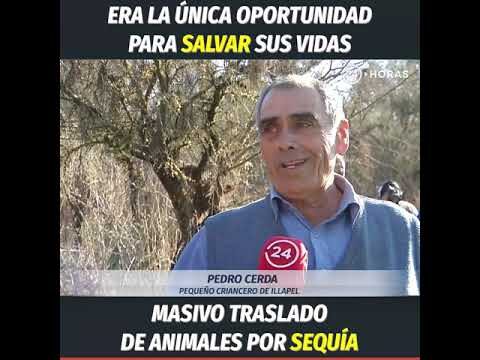 Animales en peligro en zool&oacute;gico clausurado sin acceso a veterinarios