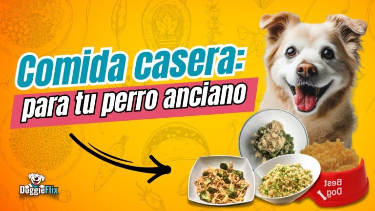 5 Alimentos Naturales Esenciales para tu Perro Senior, seg&uacute;n Veterinarios