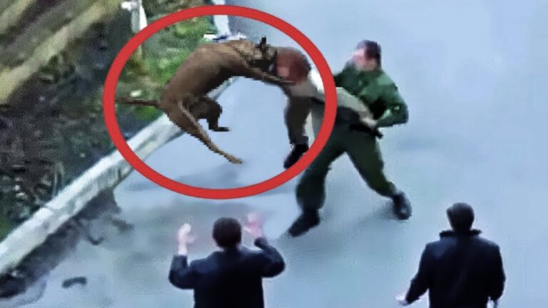 &iquest;Qui&eacute;nes podr&aacute;n deducir gastos en su declaraci&oacute;n de impuestos 2025?