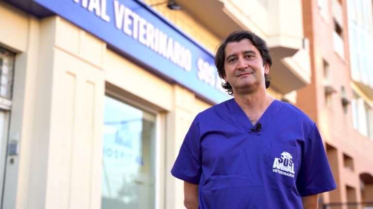 &iexcl;Cuidado especializado para tus peluditos!