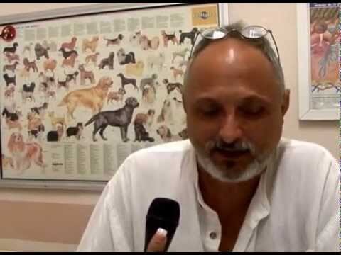 Gesti&oacute;n Efectiva de Gatos y Perros
