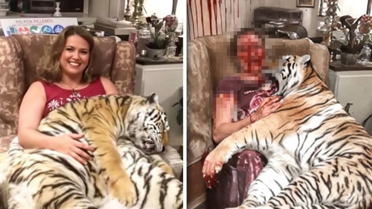 deduce gastos en tu declaraci&oacute;n de impuestos 2025