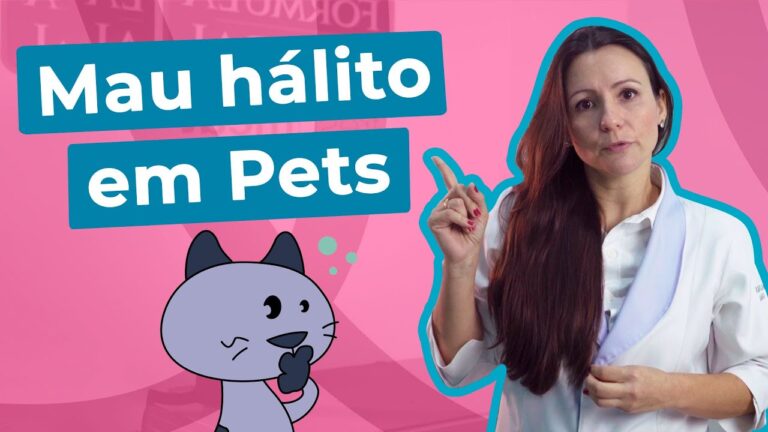 Veterinario 'Mau' enfrenta cargos de fraude y maltrato animal