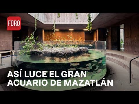 Descubre el nuevo hogar de Bambina y Teo, los venaditos cola blanca en el Gran Acuario de Mazatl&aacute;n