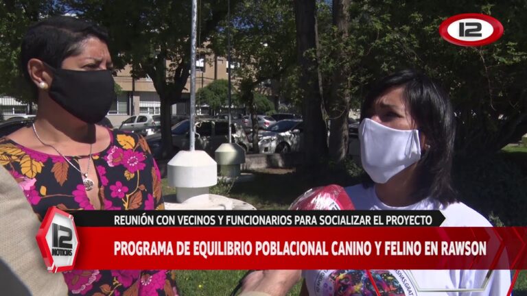 Estrategias Efectivas