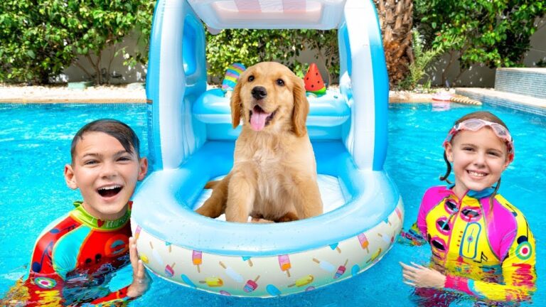 La cruel historia detrás del abuso animal