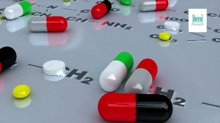 Sin Veterinarios, &iquest;Hacia un Futuro Enfermo?