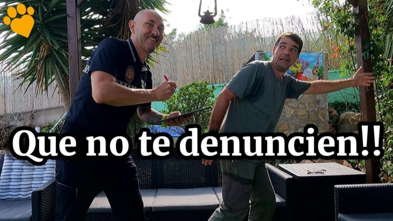 Lo que Debes Saber sobre Gastos de Mascotas y la Renta